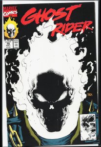 Ghost Rider #15 (1991) Ghost Rider