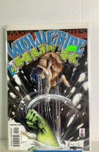 Wolverine/Hulk #2 (2002)