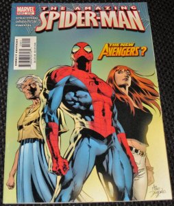 The Amazing Spider-Man #519 (2005)