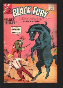 Black Fury  #46 1964-Charlton-Horse-stories-FN+