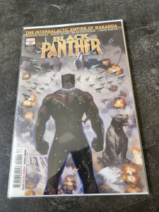 Black Panther #25