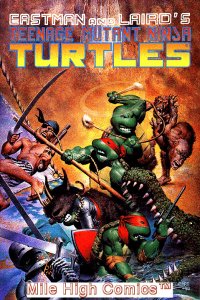 TEENAGE MUTANT NINJA TURTLES  (1984 Series)  (MIRAGE) #33 Fair Comics Book