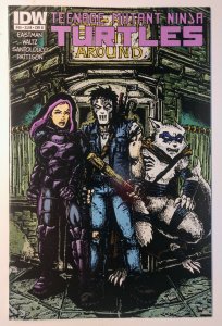 Teenage Mutant Ninja Turtles #46 (9.4, 2015) Incentive Cover