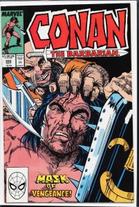 Conan the Barbarian #222 (1989) Conan