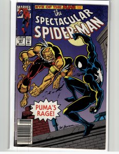 The Spectacular Spider-Man #191 (1992) Spider-Man