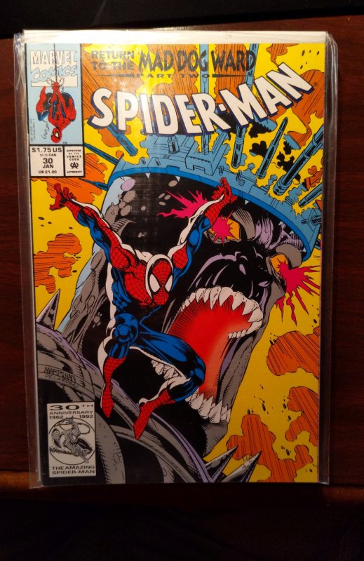 Spider-Man #30 (1993)