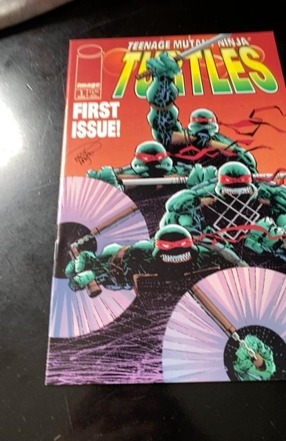 Teenage Mutant Ninja Turtles #1 (1996)