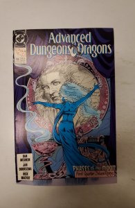 Advanced Dungeons & Dragons #19 (1990) NM DC Comic Book J715