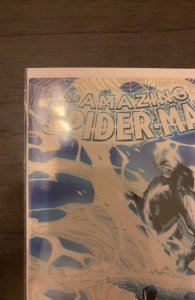 The Amazing Spider-Man #2 Second Print Cover (2014)