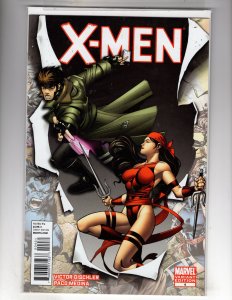 X-Men #6 Variant Cover (2011)  *FLAT-RATE SHIPPING!* / ECA12x