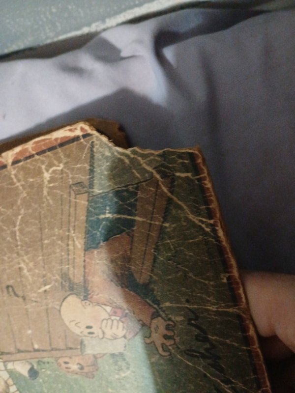1921 ADVENTURES OF MUTT AND JEFF  Bud Fisher - Cupples & Leon Large Platinum Age