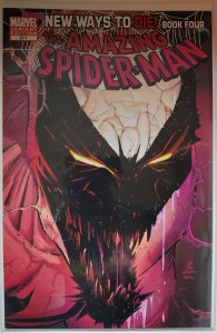 The Amazing Spider-Man #571 Variant Cover (2008)