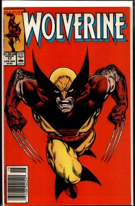 Wolverine #17 (1989) Wolverine