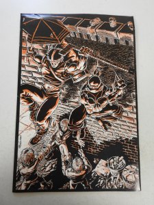 Teenage Mutant Ninja Turtles Raphael #1 (1985) VG Cond bug chew through book