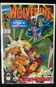 Wolverine #41 (1991)