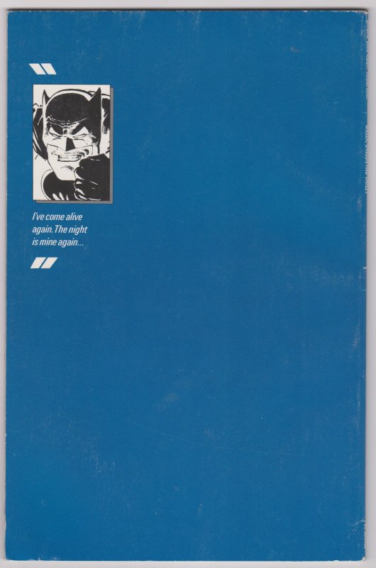 Batman: The Dark Knight (VG) Frank Miller