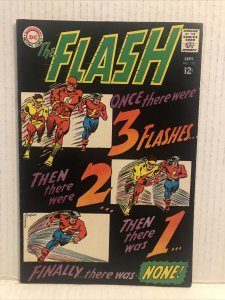 Flash #173