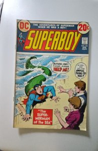Superboy #194 (1973)