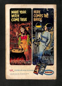 Blackhawk #213 Die Again Blackhawks!