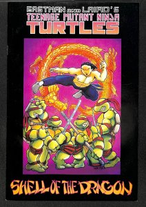 Teenage Mutant Ninja Turtles #18