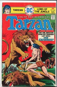 Edgar Rice Burroughs' Tarzan #240 (1975)