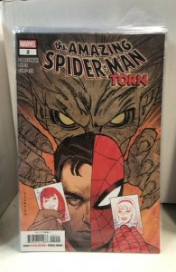 Amazing Spider-Man: Torn #2 (2026)