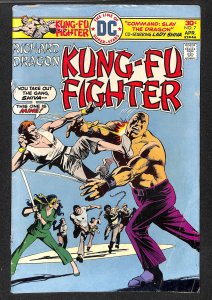 Richard Dragon, Kung Fu Fighter #7 (1976)