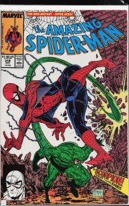 The Amazing Spider-Man #318 (1989) Spider-Man