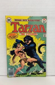 Edgar Rice Burroughs' Tarzan #253 (1976)