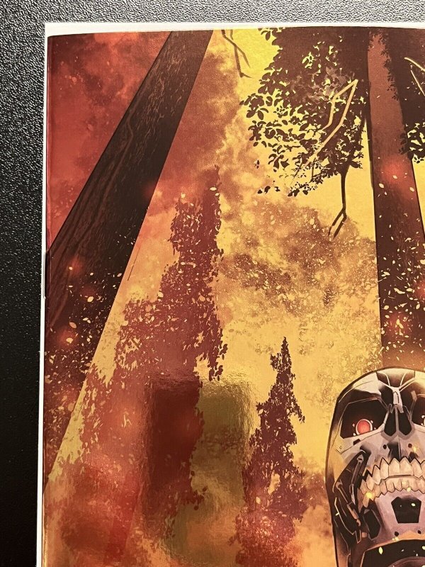TERMINATOR #1 CVR L 1:10 GALMON VAR + N 1:15 FOIL VIRGIN DYNAMITE 2024 PROSHIPS