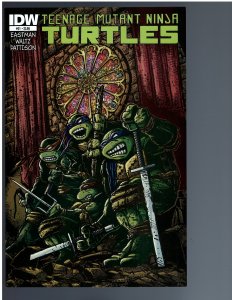 Teenage Mutant Ninja Turtles #21 (2013)