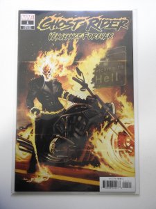 Ghost Rider: Vengeance Forever #1 Variant Edition