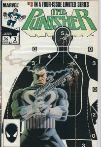 the punisher mini series #2,3,4,5 van/nm collection $25.00