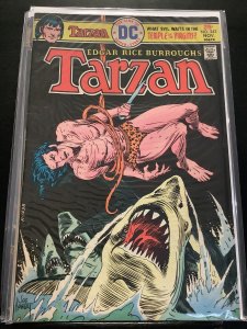 Tarzan #243 (1975)