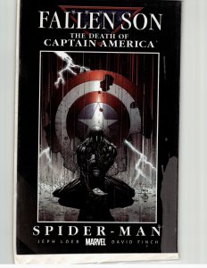 Fallen Son: The Death of Captain America #4 (2007) Spider-Man