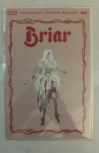 Briar #1 Second Print Cover (2022)