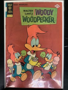 Walter Lantz Woody Woodpecker #142