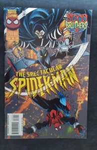 The Spectacular Spider-Man #234 (1996)