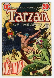 Edgar Rice Burroughs' Tarzan #214 Joe Kubert FN