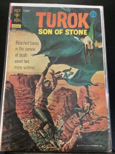 Turok, Son of Stone #91 (1974)