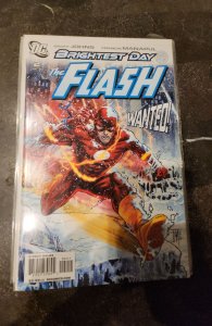 The Flash #2 (2010)