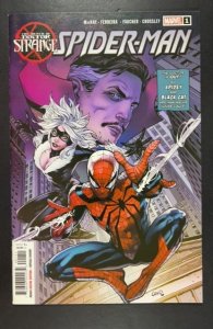 Death of Doctor Strange: Spider-Man (2022)