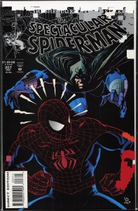 The Spectacular Spider-Man #207 (1993) Spider-Man