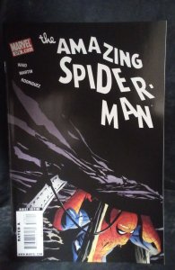 The Amazing Spider-Man #578 (2009)