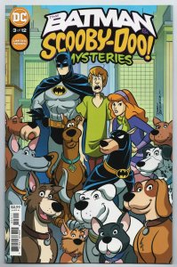 Batman &  Scooby-Doo Mysteries #3 (DC, 2021) NM