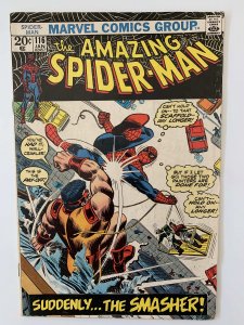 The Amazing Spider-Man #116 VG (1973)