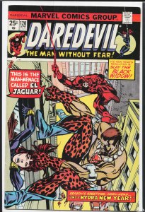 Daredevil #120 (1975) Daredevil [Key Issue]