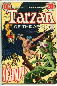 TARZAN #214 1972-DC-EDGAR RICE BURROUGHS-JOE KUBERT JUNGLE ART-vf