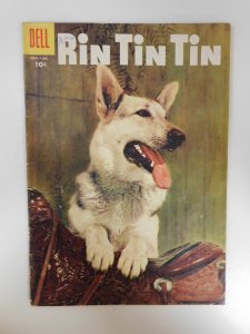 Rin Tin Tin #16