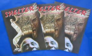 1997 SHELTER by Cecil Fernando VF/NM 9.0 NBM Pub Comics